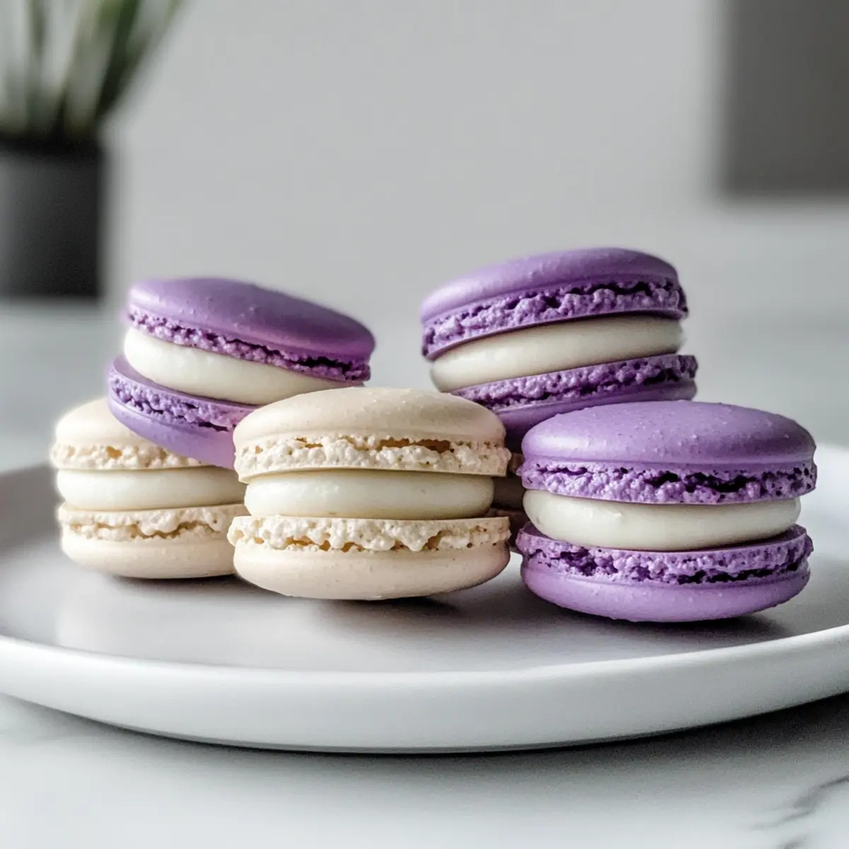 Mastering Macarons: Your Ultimate Guide to Perfect Bites
